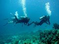 Discover Scuba Diving