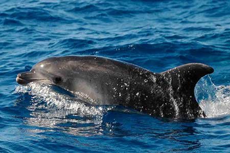 Click to see more pictures